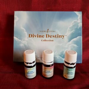 Percorso DIVINE DESTINY: CONTATTA IL DIVINO DENTRO DI TE IN 21 GIORNI